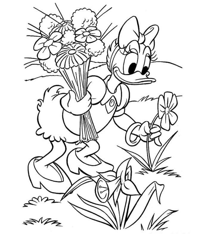 coloriage daisy cueillant des fleurs